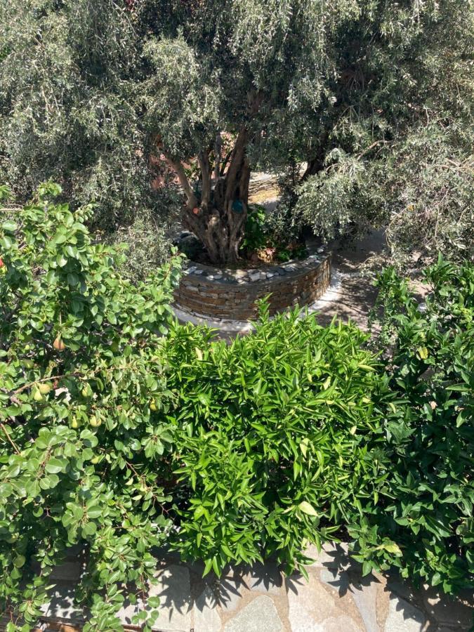 Agkyra Rooms Aladhinon Exterior photo